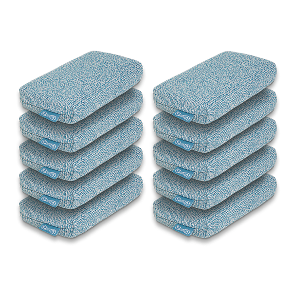 Ten Pack Blue Forever Sponges | Grill Rescue | The McLemore Boys