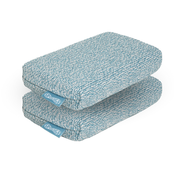 Two Pack Grill Rescue Blue Forever Sponges | The McLemore Boys