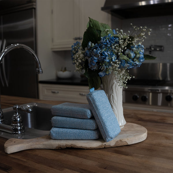 Blue Grill Rescue Forever Sponges Near Vase of Flowers | The McLemore Boys