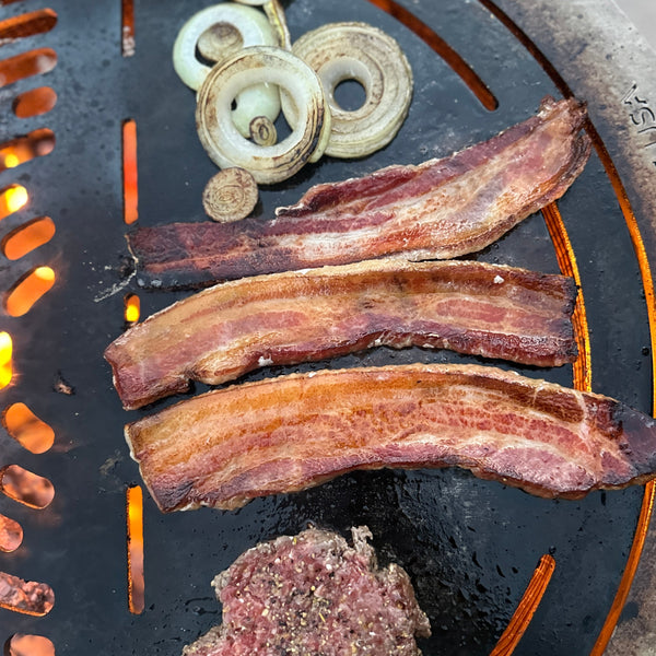 MYFIRESIDE GRILL & GRIDDLE