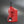 5 Gallon Tuff Jug