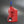 5 Gallon Tuff Jug