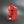 5 Gallon Tuff Jug