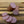Garlic & Mustard Seed Summer Sausage