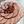 Craisin Summer Sausage