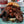Kinda Sweet Sauce Brisket | Lane's BBQ | The McLemore Boys