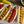 Hot Dogs