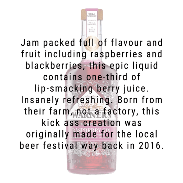 Warner's Raspberry Gin 750mL